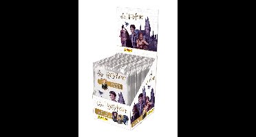 Harry Potter Metal Minicards Display (25)
