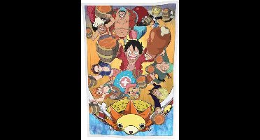 One Piece Fleece Blanket Ver. 3 100 x 150 cm