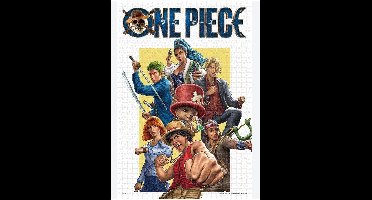 One Piece 1000-piece puzzle Into the Grandline