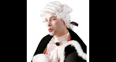 Middeleeuwse verkleed pruik - wit - heren - barok - Carnaval - accessoires