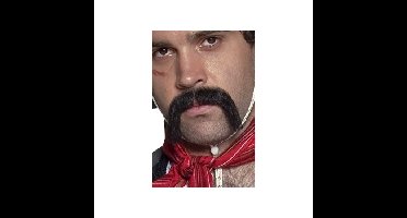 Zwarte Mexicaanse verkleed nepsnor - Plaksnorren/nepsnorren - volwassenen - carnaval