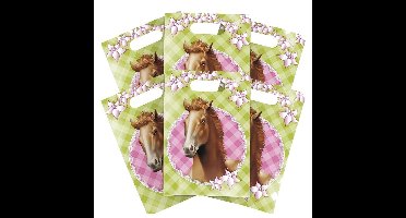 Paarden themafeestje feestzakjes/uitdeelzakjes - 6x stuks - plastic - Knderfeestje snoepzakjes