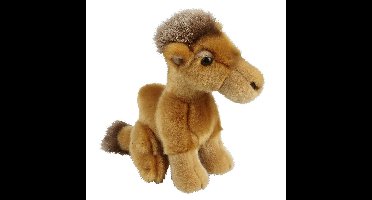 Pluche knuffel dieren Kameel 18 cm