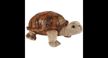 Pluche knuffel dieren Land Schildpad van 32 cm