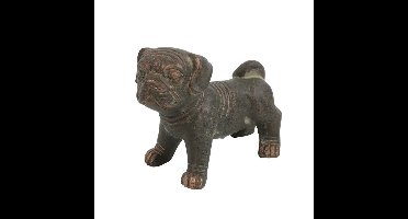 Hond Sita Bruin S -2