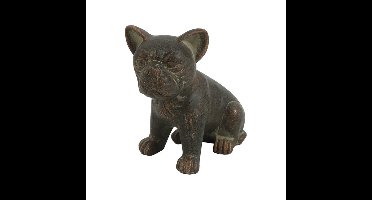 Hond zitten Pugsy Bruin S