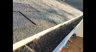 Deluxa Dakgoot egel 12 meter dakgootbescherming