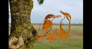 Geluksvogel IJsvogel - Kingfisher paartje