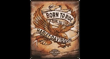 Harley Davidson Born to Ride Eagle wandplaat