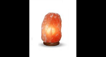 Himalaya Salt Dreams lamp Rock Himalaya zout