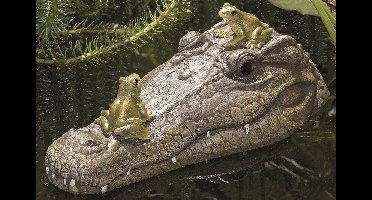 Krokodil Ally Drijvend