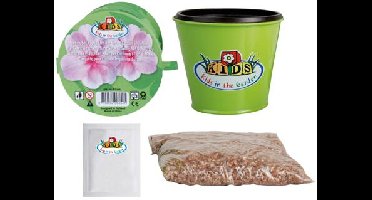 Kweekset vlijtig liesje / Esschert Design