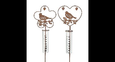 Regenmeter Rain vogel in hart