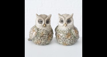 Decoratieve uiltjes Kuga