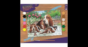 Schilderen op Nummer Basset Honden