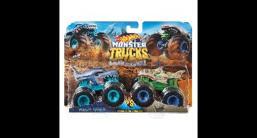 Hot Wheels Monster Trucks 1:64 2 Pack