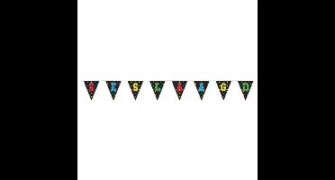 Vlaggenlijn Geslaagd