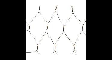 Lumineo Led Net Buiten 2x2meter 180lampjes