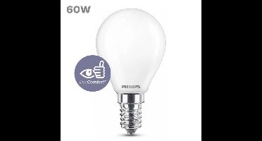 Philips Led Lamp 60w