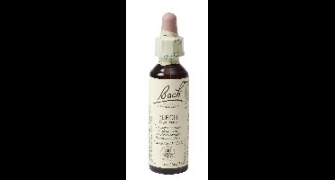 Bach Flower Remedies Beuk 03