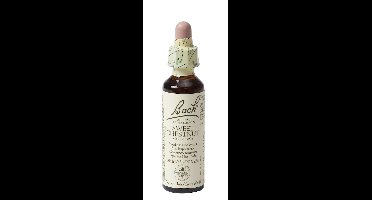 Bach Flower Remedies Tamme Kastanje 30