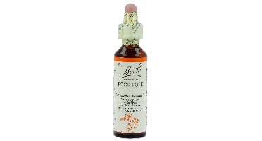 Bach Flower Remedies Zonneroosje 26