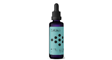 Mind Studio Biologische Lion's Mane Focus