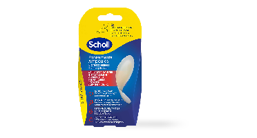 Scholl Blarenpleister Hiel