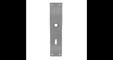 Intersteel renovatieschild rechthoekig 250x55x2mm sleutelgat 56mm - RVS