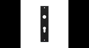 Intersteel renovatieschild rechthoekig 250x55x2mm profielcilindergat 55mm - RVS/mat zwart