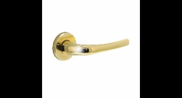 Intersteel Deurkruk Cosmos op rozet - messing gelakt