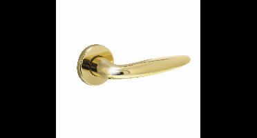 Intersteel Deurkruk Sigaar op rozet - messing gelakt