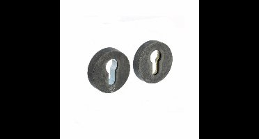 Intersteel Veiligheidsrozet SKG3 - oud grijs