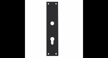 Intersteel renovatieschild rechthoekig 250x55x2mm profielcilindergat 72mm - RVS/mat zwart