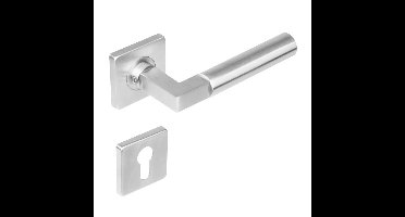 Intersteel Deurkruk Bau-Stil op rozet met profielcilinderrozetten - RVS