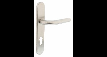 Intersteel Deurkruk Recht op schild profielcilinder 72mm - RVS