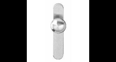 Intersteel Knop op blind schild - RVS