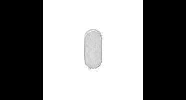 Intersteel Afdekrozet ovaal verdekt 65x30x10mm - RVS