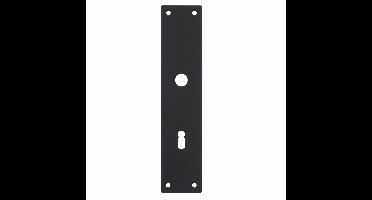 Intersteel renovatieschild rechthoekig 250x55x2mm sleutelgat 72mm - RVS/mat zwart