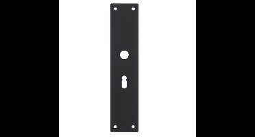 Intersteel renovatieschild rechthoekig 250x55x2mm sleutelgat 56mm - RVS/mat zwart