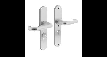 Intersteel Veiligheidsbeslag SKG3 kruk/kruk PC55 mm met kerntrekbeveiliging - aluminium