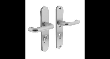 Intersteel Veiligheidsbeslag SKG3 kruk/kruk PC72mm met kerntrekbeveiliging - aluminium