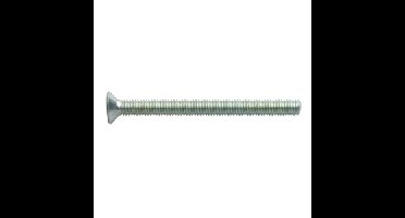 Intersteel Bout tbv SKG3 veiligheidsschild/rozet M6x70mm. 10.9 blank