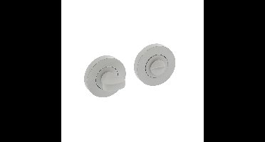 Intersteel Rozet met toilet-/badkamersluiting verdekt 52x10mm - wit