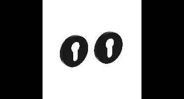 Intersteel Rozet met profielcilindergat - aluminium/mat zwart