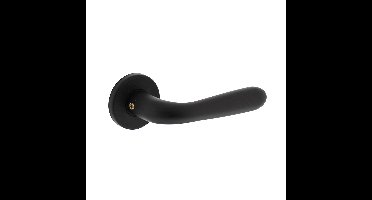 Intersteel Deurkruk Merredin op rozet - aluminium/zwart