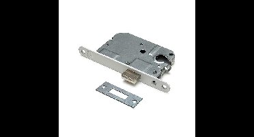 DX Kastslot tbv cilinderslot met RVS voorplaat 20x174 mm.