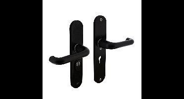 Intersteel Veiligheidsbeslag SKG3 kruk/kruk PC55 mm met kerntrekbeveiliging - aluminium/zwart