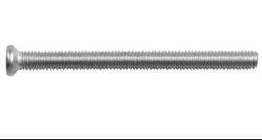 Intersteel Bout tbv RVS veiligheidsschild M6x100mm voor deurdikte 86-92mm