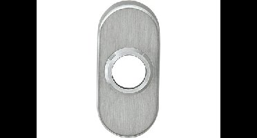 Intersteel Rozet ovaal verdekt 65x30x10mm - RVS